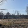 Photo of Cow Hollow Park