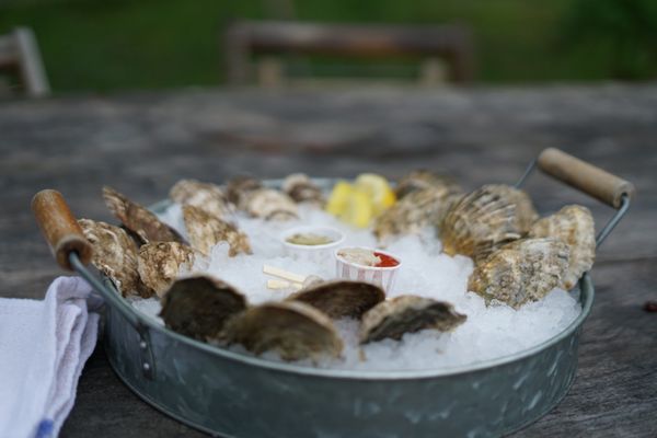 Glidden Point Oyster Farms by null