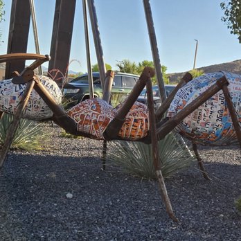 Morgan Termite and Pest Control - Bug 06-20-2026 - Pest Control Near Me - St George, Utah Morgan Termite and Pest Control - Bug 06-20-2026 - Pest Control Near Me - St George, Utah