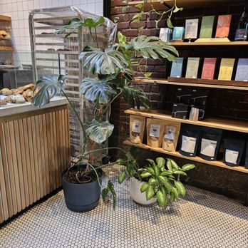 Narrative Coffee - Plant friends - Coffee & Tea Near Me - Everett, Washington
