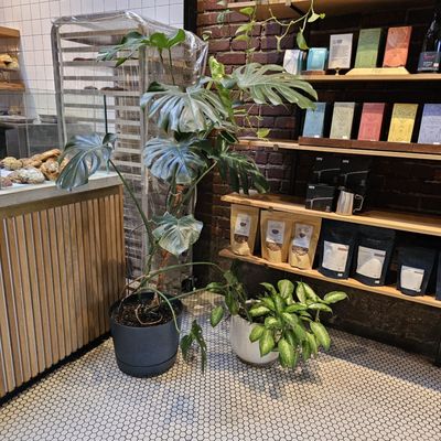 Narrative Coffee by null