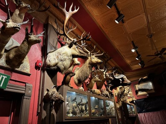 Buckhorn Exchange by null