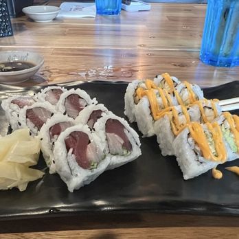 Utamaro Sushi Bar - Dynamite and Tampa Rolls - Sushi Bars Near Me - Sarasota, Florida Utamaro Sushi Bar - Dynamite and Tampa Rolls - Sushi Bars Near Me - Sarasota, Florida