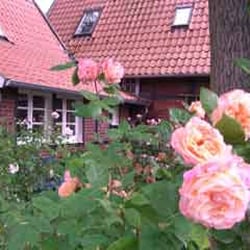 Ferienwohnung zwischen Coesfeld und Billerbeck
