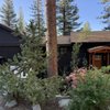 High Sierra Gardens gift card