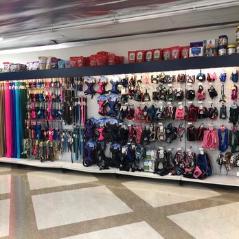 Super Pets - Pet Stores Near Me - Temple City, California Super Pets - Pet Stores Near Me - Temple City, California