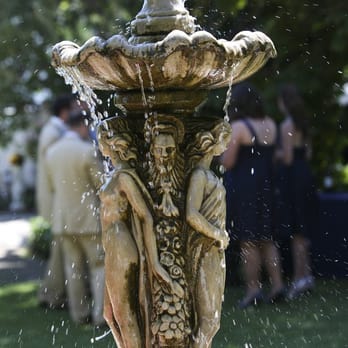 Dave Medal Photography - Event Photography Near Me