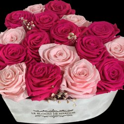 Le Bloom De Nardos