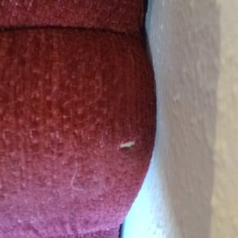 Home Control USA - Wow, a year in my new sofa arm. - Movers Near Me - Lakewood, Colorado