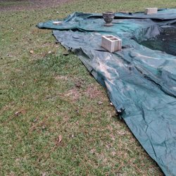 Oceanside Pools - Mess covering grass