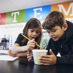 McLean School of Maryland