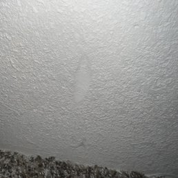 a carpeted area with a white wall