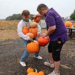 Lewin Farms - Pumpkins