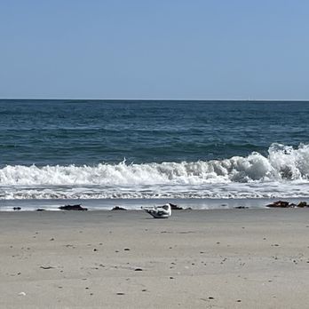 Long Beach - Beaches Near Me - Plymouth, Massachusetts
