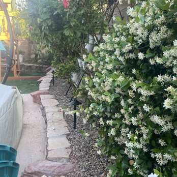 Done Wright Landscapes - Landscaping Near Me Done Wright Landscapes - Landscaping Near Me