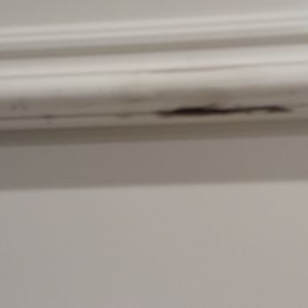 Caissie Hardwood Flooring - Stain spots on wainscotting - Flooring Near Me