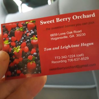 Sweet Berry Orchard - Pick Your Own Farms Near Me - Hogansville, Georgia Sweet Berry Orchard - Pick Your Own Farms Near Me - Hogansville, Georgia