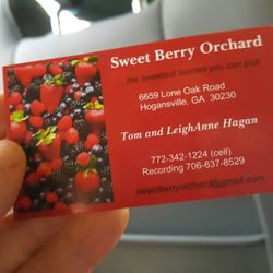 Sweet Berry Orchard