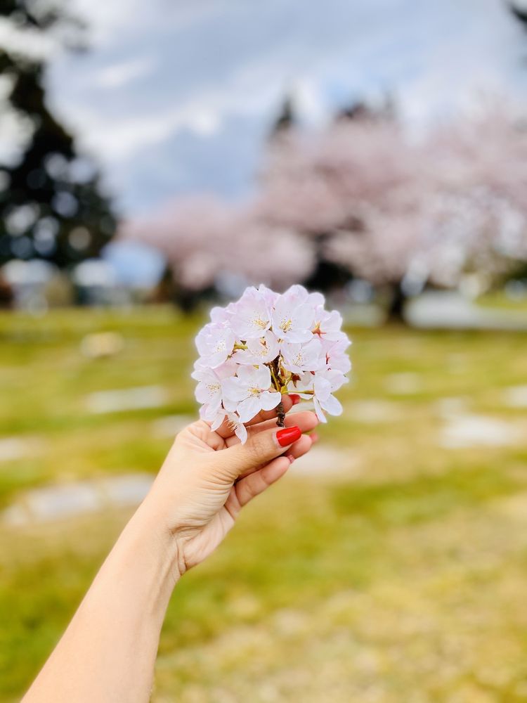 Calvary Cemetery - veterans service organization in Seattle, WA