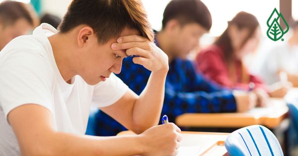 Huntington Learning Center Flower Mound