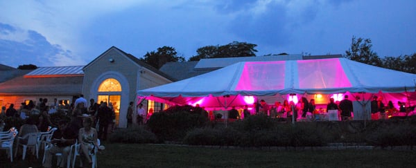 Mystic Museum of Art by null