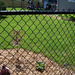 All American Fence - black vinyl clad chain link fence installed by ALL AMERICAN FENCE