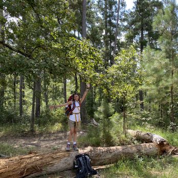 Sam Houston National Forest - Parks Near Me - New Waverly, Texas