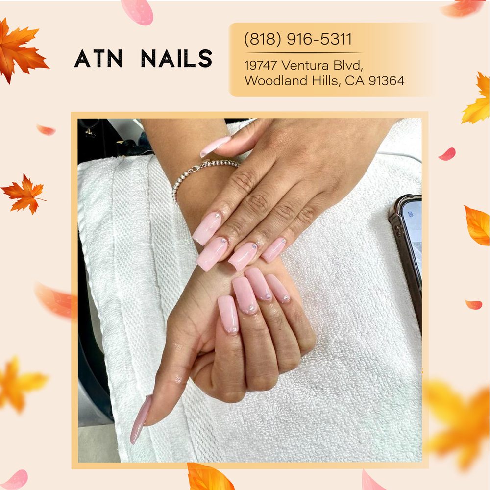 ATN NAILS Updated October 2024 70 Photos & 19 Reviews 19747
