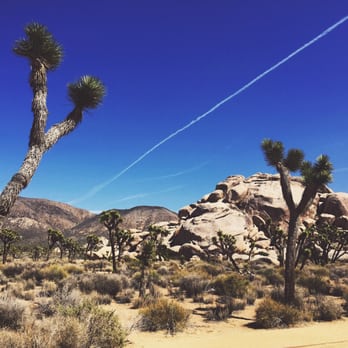 Joshua Tree Adventures - Tours Near Me