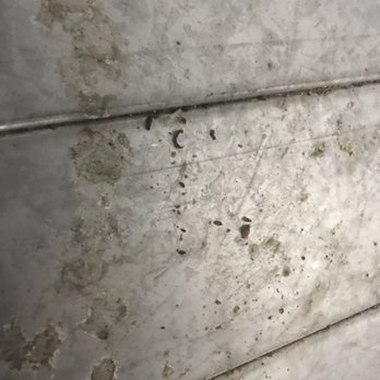 Extra Space Storage - Droppings in Disgusting Extra Space Storage - Self Storage Near Me - Baltimore, Maryland