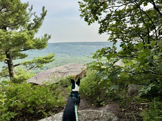 Devil's Lake State Park by null