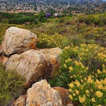Dixon Lake - Site 21 - Parks Near Me - Escondido, California
