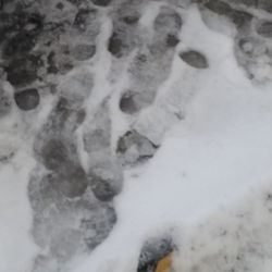 Subway - Icy sidewalk at Behan Oil / Subway at 79th and 88th Ave in Justice