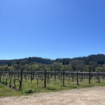 Amista Vineyards - Vineyard - Wine Tours Near Me - Healdsburg, California