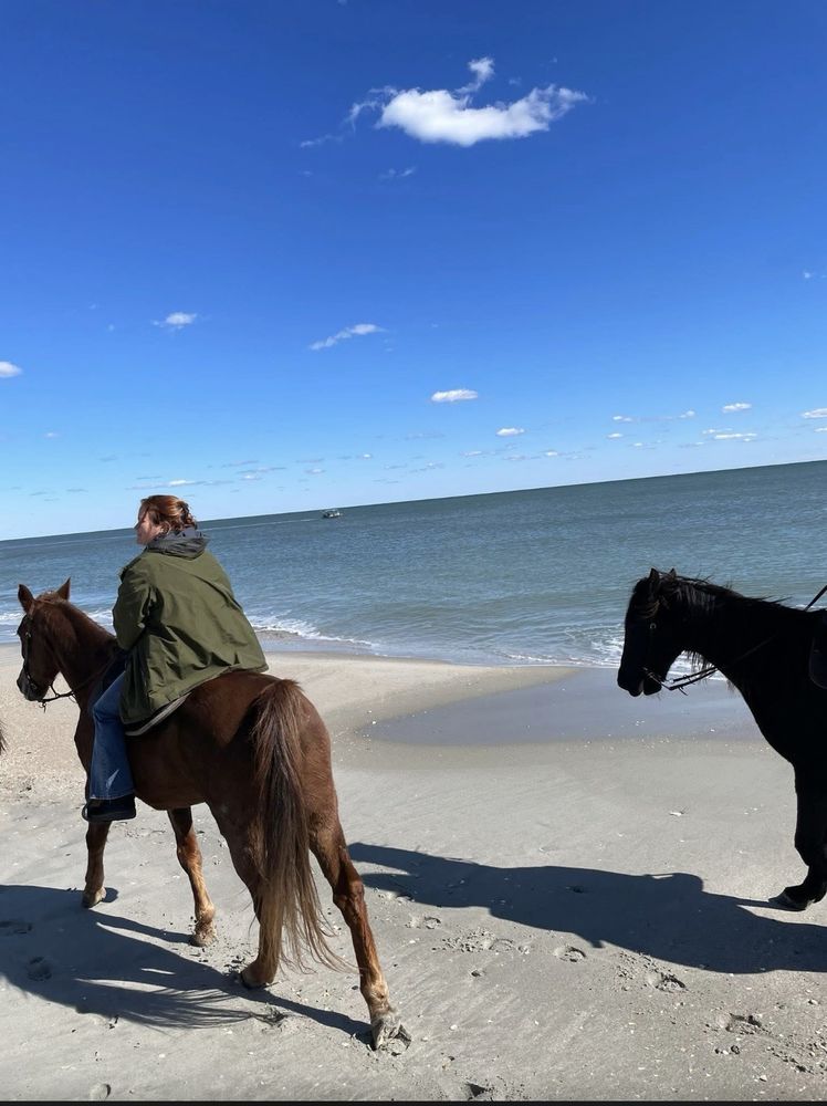 Social spots from Horseback Riding of Myrtle Beach