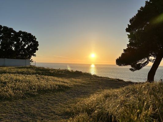 Palos Verdes Estates Shoreline Preserve by null