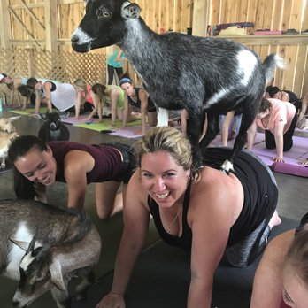 Shenanigoats Community Services - Yoga Near Me - Madison, Tennessee