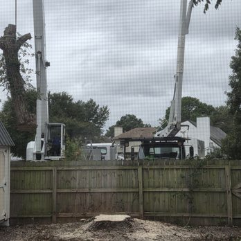 Mike's Tree Service - Stumped! - Tree Services Near Me - Virginia Beach, Virginia