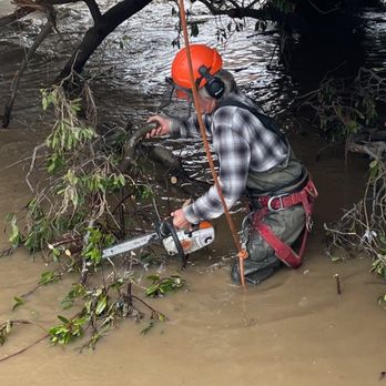Coastal Tree Experts - Tree Services Near Me - Morro Bay, California