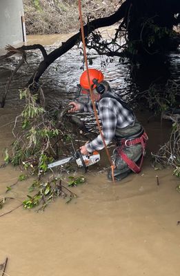 Storm 2022 - Storm damage and drain clearance, 2022
We are frequently used by the city of Morro Bay for emergency tree work. The last couple years was a good reminder on why tree maintenance is important.