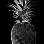 Photo of Pineapple Home Staging