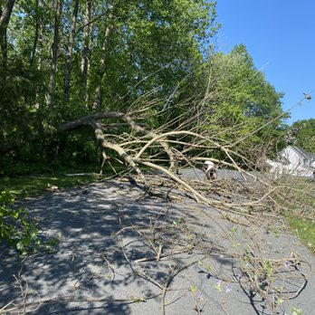 Jay's Property Management - Tree Removal 5/11 - Junk Removal & Hauling Near Me Jay's Property Management - Tree Removal 5/11 - Junk Removal & Hauling Near Me