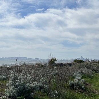 Alameda Beach - Glimpse of San Francisco - Beaches Near Me - Alameda, California Alameda Beach - Glimpse of San Francisco - Beaches Near Me - Alameda, California