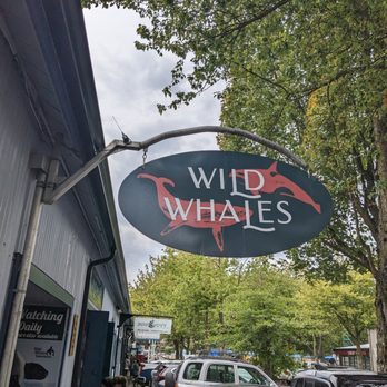 Wild Whales Vancouver - Whale Watching Tours Near Me - Vancouver, British Columbia Wild Whales Vancouver - Whale Watching Tours Near Me - Vancouver, British Columbia