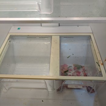Cleaning Aid Services - Fridge was untouched - Office Cleaning Near Me Cleaning Aid Services - Fridge was untouched - Office Cleaning Near Me