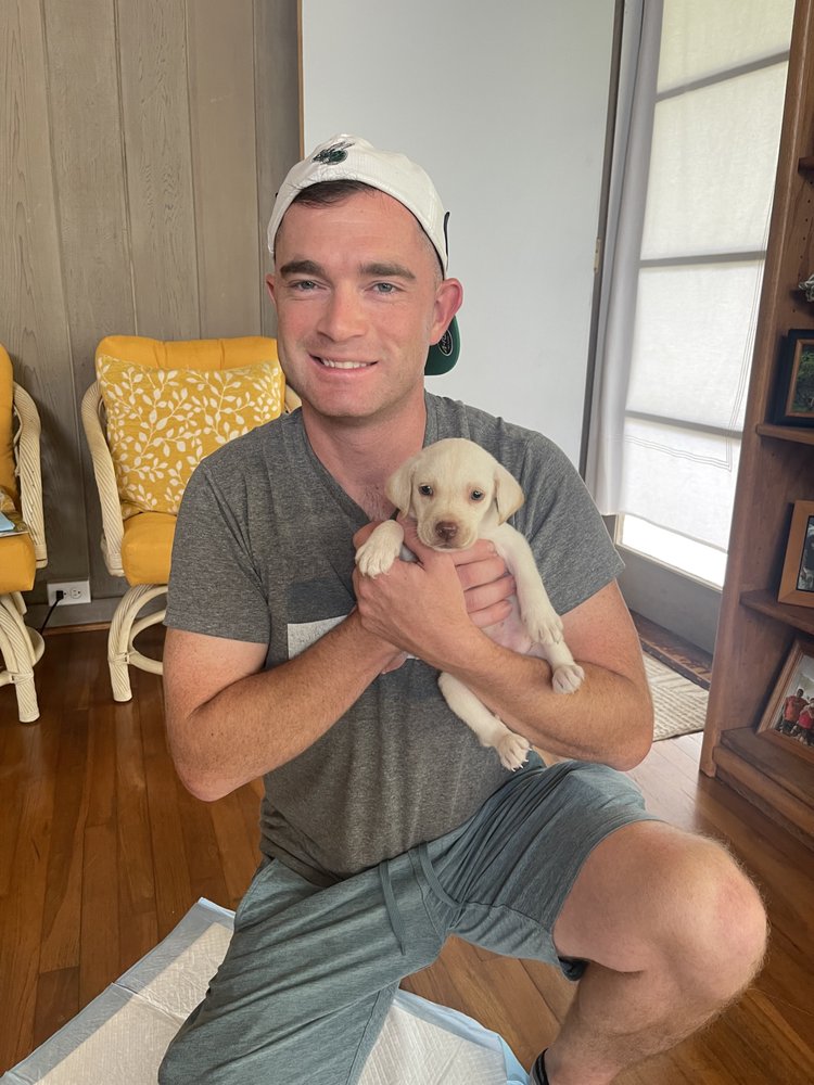 OAHU_PUPPIES 209 Photos & 17 Reviews Kaneohe, Hawaii Pet Breeders