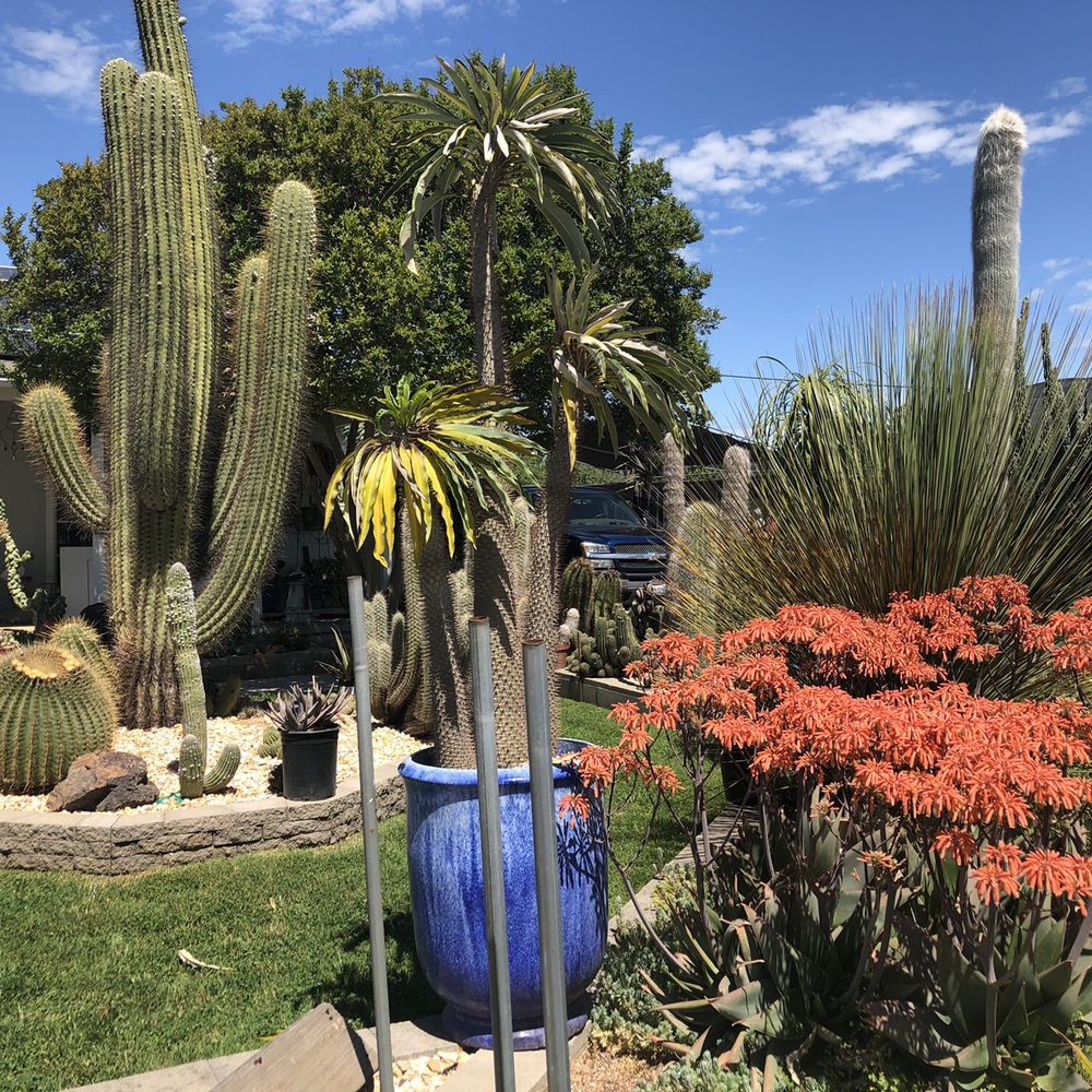 Poot's Cactus Nursery - Nurseries & Gardening Near Me - Ripon, California Poot's Cactus Nursery - Nurseries & Gardening Near Me - Ripon, California