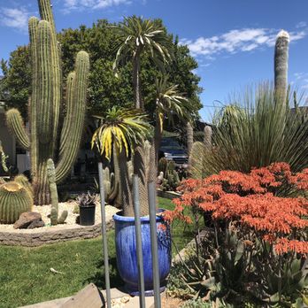 Poot's Cactus Nursery - Nurseries & Gardening Near Me - Ripon, California