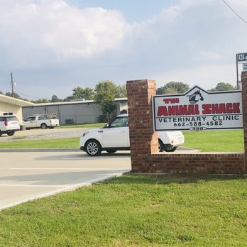 The Animal Shack - Veterinarians Near Me - Boyle, Mississippi The Animal Shack - Veterinarians Near Me - Boyle, Mississippi