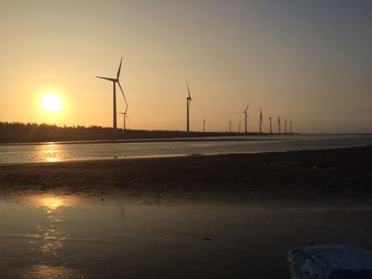 Gaomei Wetlands by null